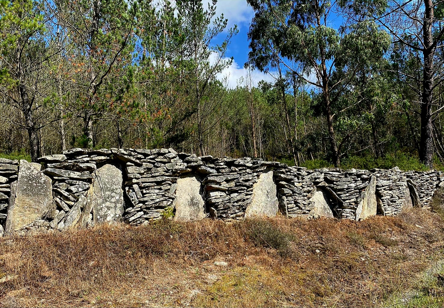Ampliar: Muro de Friol (Foto Maribel Valdivieso)